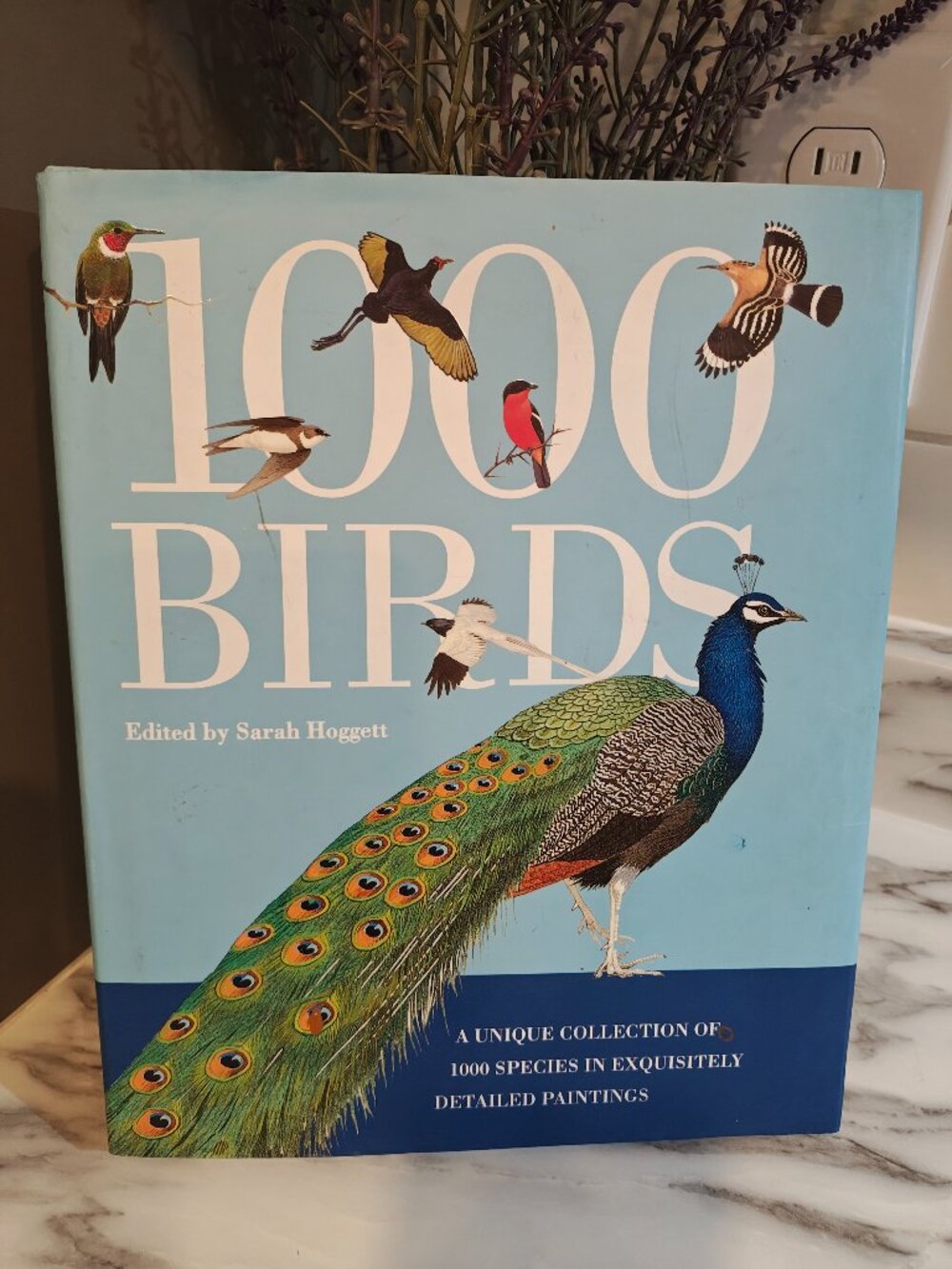 1,000 Birds Sarah Hoggett Coffee Table Book 2015 Illustrated Birding Nature Book